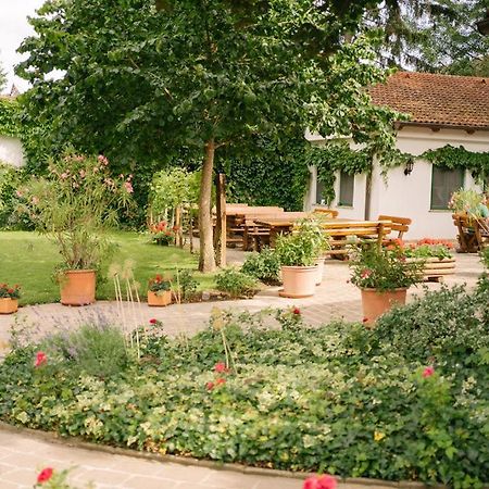 Hotel-Restaurant-Vinothek Felix Sommer Auersthal エクステリア 写真